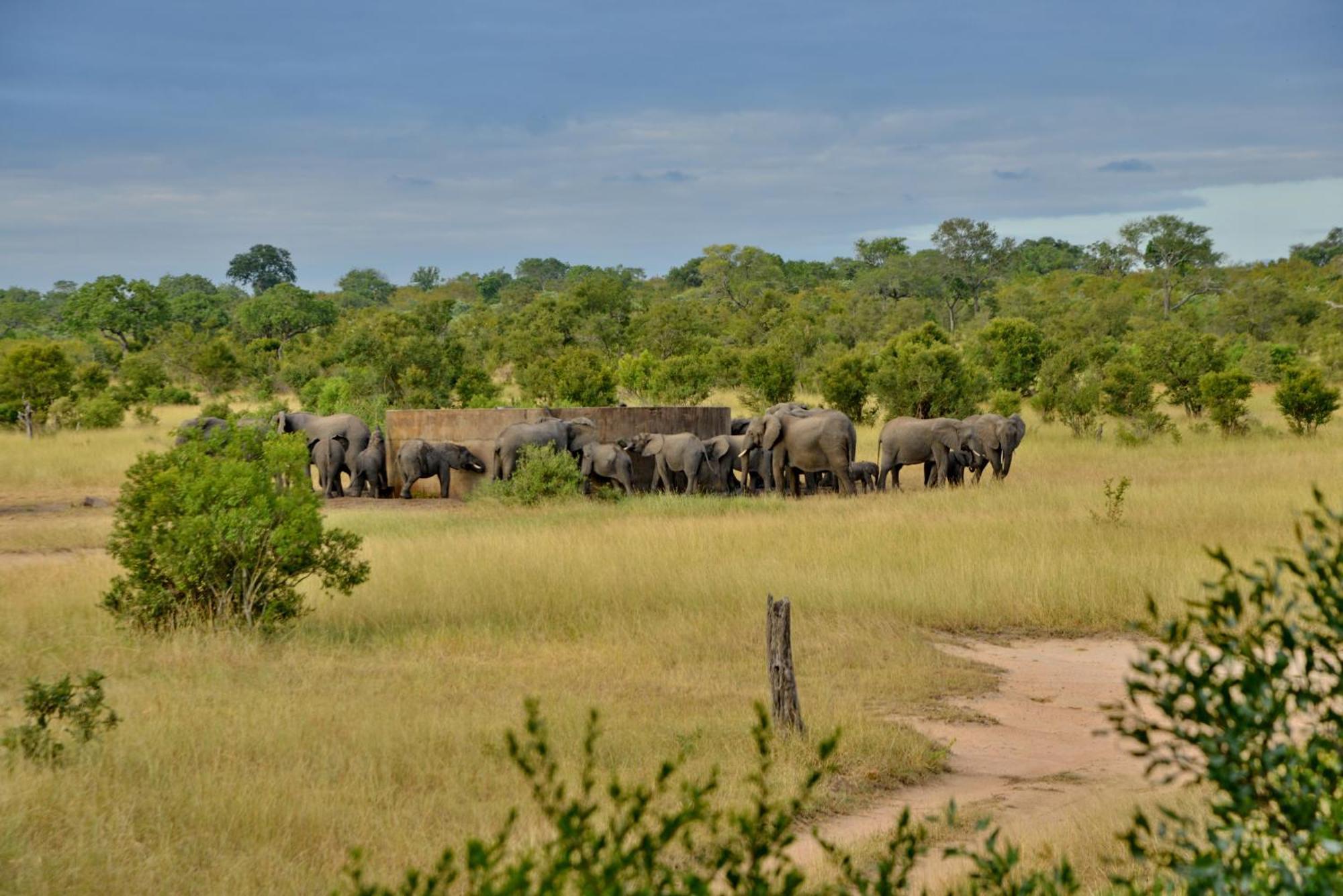 Hotel Rhino Walking Safaris Skukuza Esterno foto