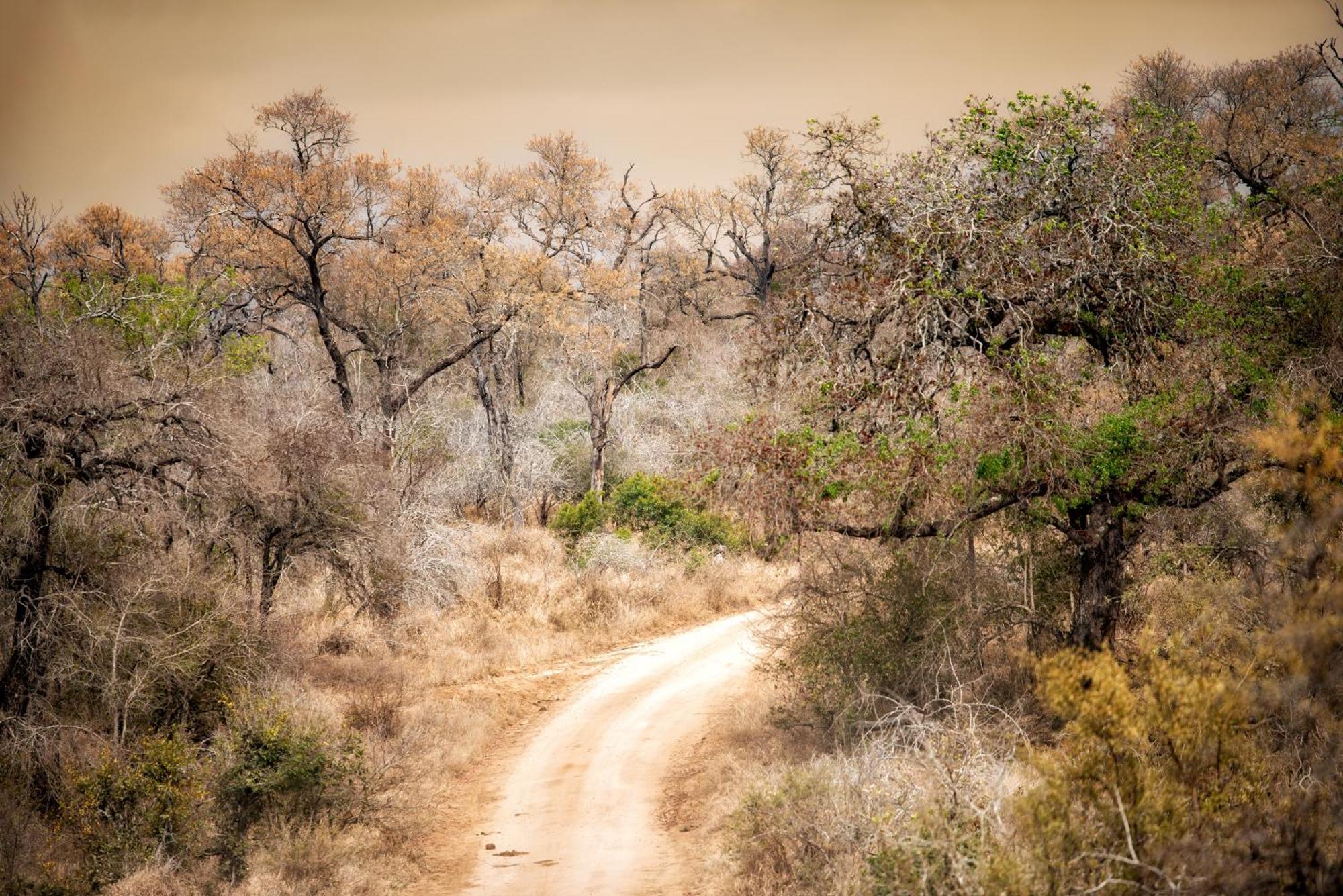 Hotel Rhino Walking Safaris Skukuza Esterno foto